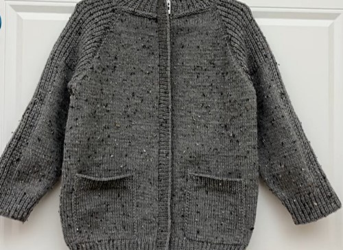 Reglan Kollu Fermuarlı Erkek Hırka – Önü Kapalı Tam Görünüm